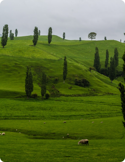 land