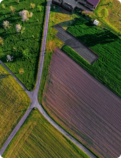 land